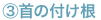 首の付け根