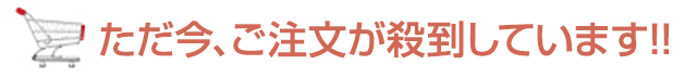 ただ今、ご注文が殺到しています