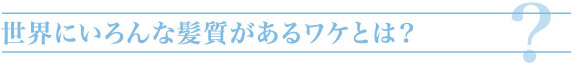 世界にいろんな髪質があるワケとは?