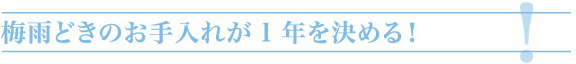 梅雨どきのお手入れが1年を決める!