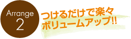 つけるだけで楽々ボリュームアップ！