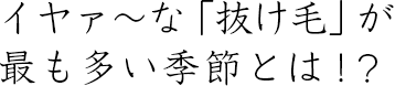 イヤァ~な「抜け毛」が最も多い季節とは!?