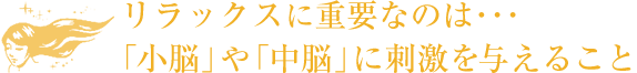 リラックスに重要なのは・・・　「小脳」や「中脳」に刺激を与えること