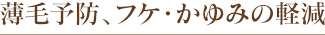 薄毛予防、フケ・かゆみの軽減