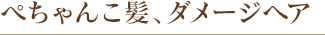 ぺちゃんこ髪、ダメージヘア