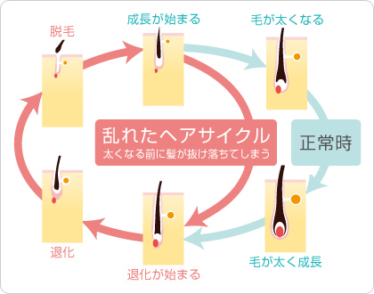 ヘアサイクル