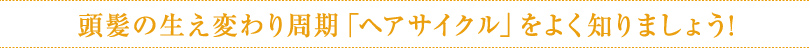 頭髪の生え変わり周期「ヘアサイクル」をよく知りましょう！