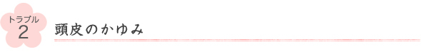 トラブル2頭皮のかゆみ