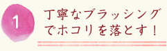 丁寧なブラッシングでホコリを落とす！