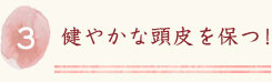 健やかな頭皮を保つ！