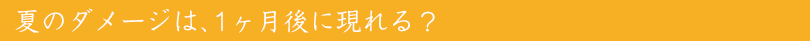 夏のダメージは、1ヶ月後に現れる？
