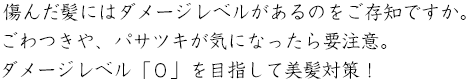 傷んだ髪にはダメージレベルがあるのをご存知ですか。ごわつきや、パサツキが気になったら要注意。ダメージレベル「０」を目指して美髪対策！