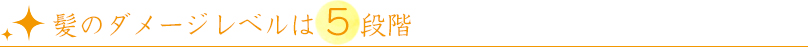髪のダメージレベルは5段階