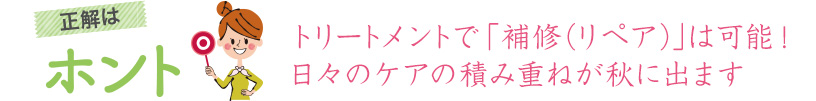 正解はホント トリートメントで「補修（リペア）」は可能！日々のケアの積み重ねが秋に出ます