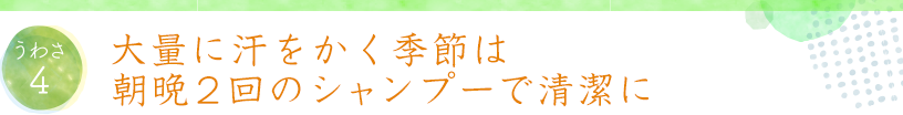 うわさ4 大量に汗をかく季節は朝晩2回のシャンプーで清潔に