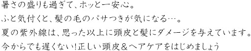 暑さの盛りも過ぎて、ホッと一安心。ふと気付くと、髪の毛のパサつきが気になる…。夏の紫外線は、思った以上に頭皮と髪にダメージを与えています。今からでも遅くない！正しい頭皮＆ヘアケアをはじめましょう