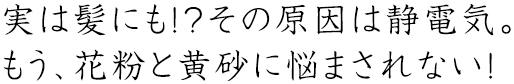 実は髪にも!?その原因は静電気。もう、花粉と黄砂に悩まされない!