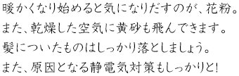 暖かくなり始めると気になりだすのが、花粉。また、乾燥した空気に黄砂も飛んできます。髪についたものはしっかり落としましょう。また、原因となる静電気対策もしっかりと!