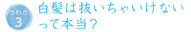 うわさ3白髪は抜いちゃいけないって本当？