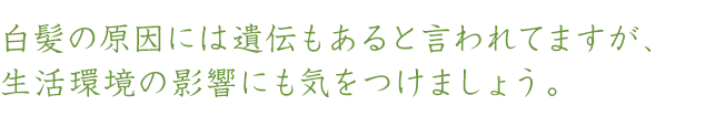 白髪の原因には遺伝もあると言われてますが、生活環境の影響にも気をつけましょう。