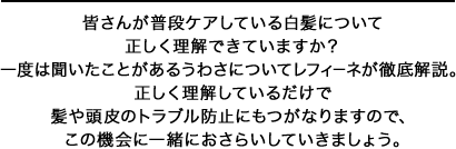 皆さんが普段ケアしている白髪について正しく理解できていますか？一度は聞いたことがあるうわさについてレフィーネが徹底解説。正しく理解しているだけで髪や頭皮のトラブル防止にもつがなりますので、この機会に一緒におさらいしていきましょう。