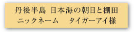 日本海の朝日と棚田