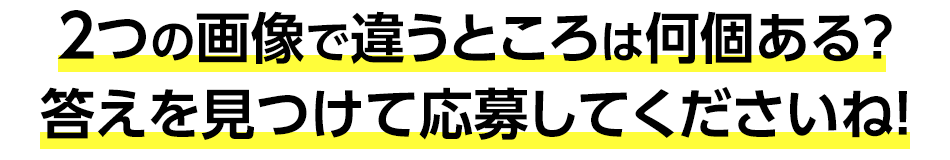 ２つの画像で違うところは何個ある？