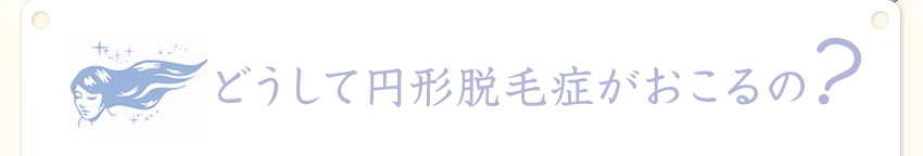 井上哲夫の「髪の健康講座」　vol.1
