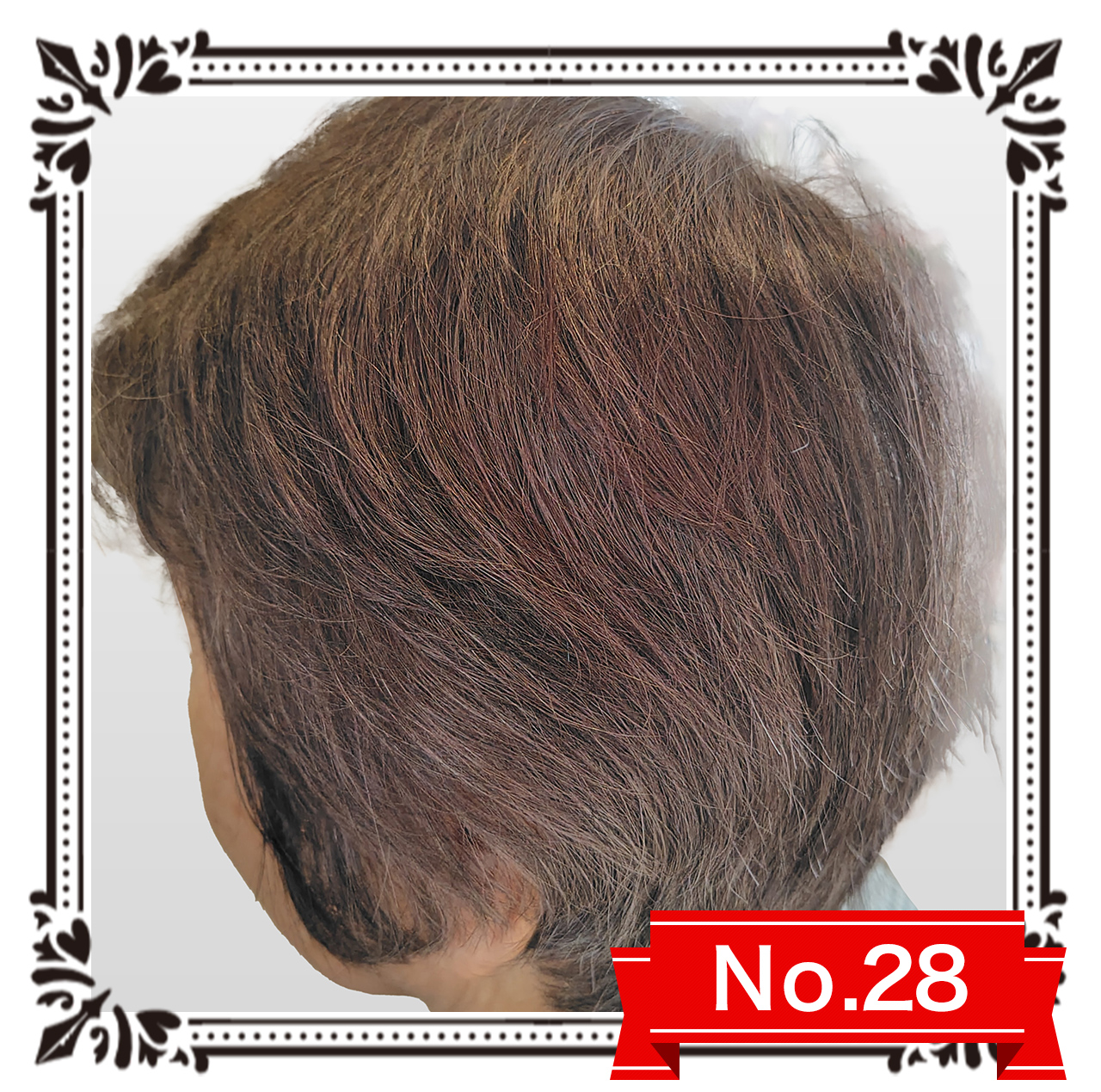 no28