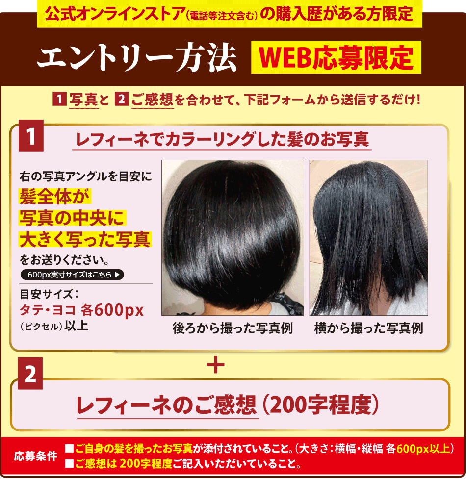 ご応募例