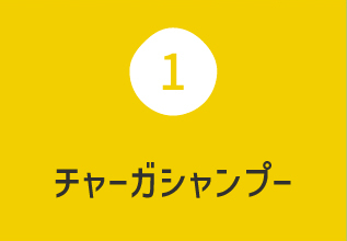 薬用スカルプシャンプー