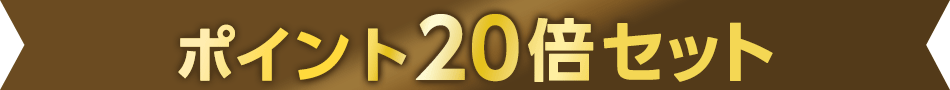 ポイント20倍セット