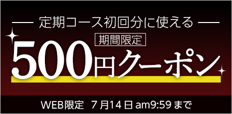 定期コース初回限定500円クーポン
