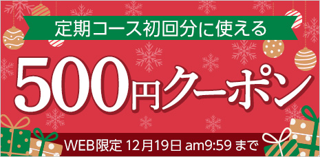 定期コース初回限定500円クーポン