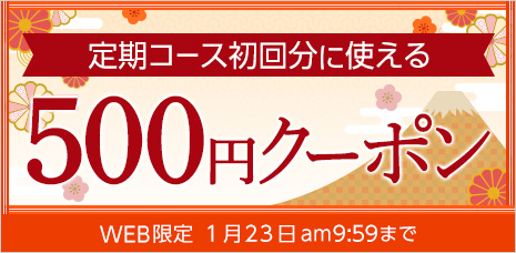 定期コース初回限定500円クーポン