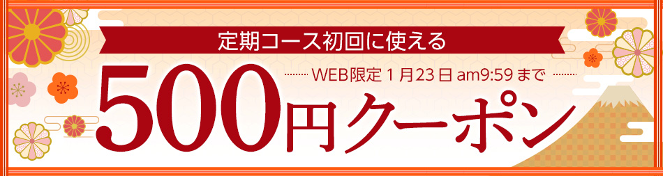 定期初回に使える500円クーポン