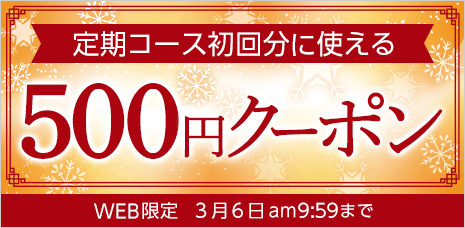 定期コース初回限定500円クーポン