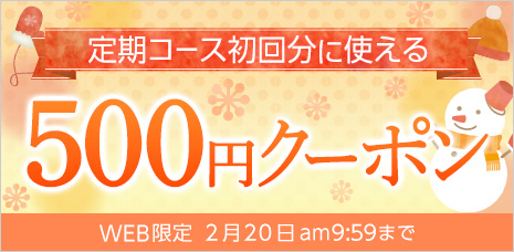 定期コース初回限定500円クーポン