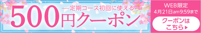 定期コース初回限定500円クーポン