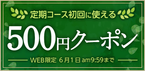 定期コース初回限定500円クーポン