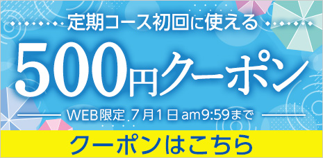 定期コース初回限定500円クーポン