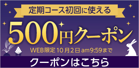 定期コース初回限定500円クーポン