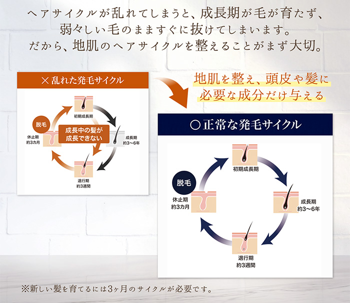 ザ チャーガ 薬用スカルプシャンプー ヘアケア専門店レフィーネ公式オンラインストア