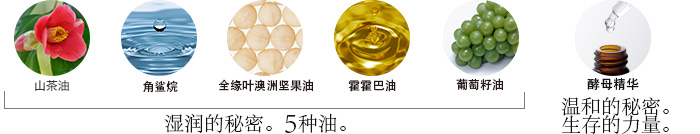 湿润的秘密。5种油。
