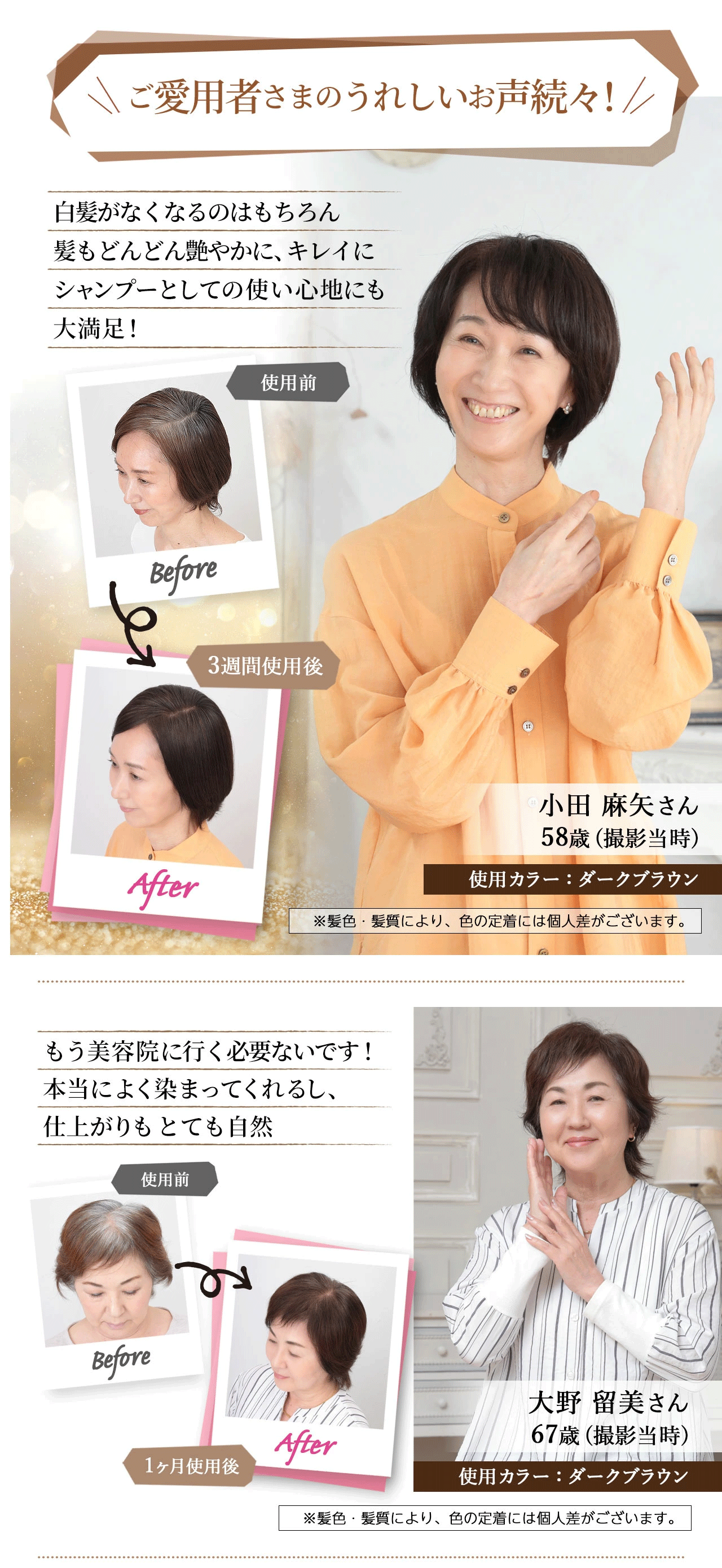 HAIR BEAUTY BOTANICAL カラークリームシャンプー 3本セット ヘアボーテ エクラ ボタニカルカラークリームシャンプー ダークブラウン