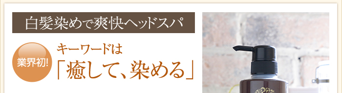 白髪染めで爽快ヘッドスパ。業界初!キーワードは「癒して染める」