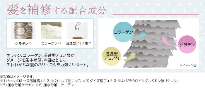 髪を補修する配合成分。