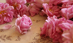 贅沢ローズの香り