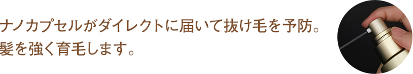 ナノカプセルがダイレクトに届いて抜け毛を予防。髪を強く育毛します。