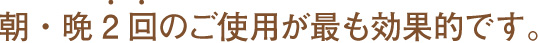 朝・晩2回のご使用が最も効果的です。